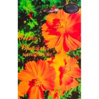 Космея Оранжевое настроение 20*0,5 Космея Оранжевое настроение 20*0,5