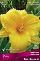 Лилейник гибридный Техас Санлайт (I) 1 шт
