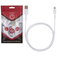 Кабель Lightning/USB ENERGY ЕТ-05 белый /50шт/006289