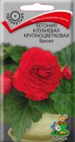 Бегония клубневая крупноцветковая Красная 5шт Бегония клубневая крупноцветковая Красная 5шт