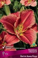 Лилейник гибридный Литтл Анна Роза (I) 1 шт