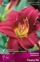 Лилейник гибридный Пардон Ми (I) 1 шт