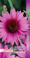 Эхинацея Пурпурная Ливадия 20шт
