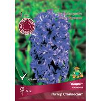 Гиацинт Питер Стайвесант 