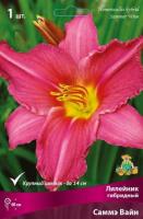 Лилейник гибридный Саммэ Вайн (I) 1 шт