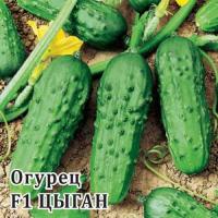 Огурец Цыган F1 250 шт Огурец Цыган F1 250 шт