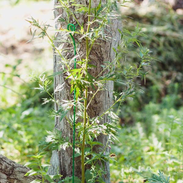 Колышек проволочный 80см комплект 10шт 