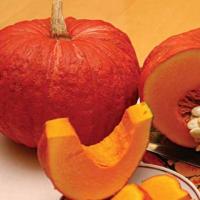 Тыква крупноплодная Конфетка 10г 