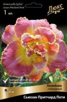 Лилейник гибридный Сьюзан Притчард Пети (I) 1 шт
