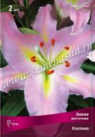 Лилия Восточная Кзотико (12/14) 5 шт 