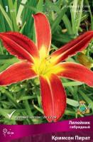 Лилейник гибридный Кримсон Пират (I) 1 шт