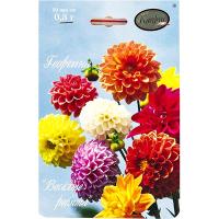 Георгина Веселые ребята 20*0,3 