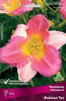 Лилейник гибридный Файнал Тач (I) 1 шт 