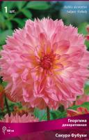 Георгина декоративная Сакура Фубуки (I) 1 шт 