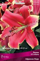 Лилия ОТ-Гибрид Африкан Леди (12/14) 5 шт 847854