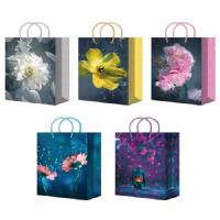 ПБР55729 Пакет подарочный 22*31 микс ламинированный /20шт/ ПБР55729 Пакет подарочный 22*31 микс ламинированный /20шт/