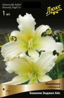 Лилейник гибридный Хевенли Энджел Айс (I) 1 шт