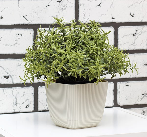 Кашпо ПИКАНТО 1,8л французский серый 15*15см М3209 Кашпо ПИКАНТО 1,8л французский серый 15*15см М3209