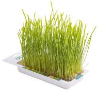 Лакомство для кошек Травка ячмень лоток 40гр