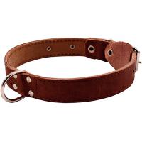 Ошейник кожа 30мм с кольцом посередине 44-53см/00030031/Каскад 