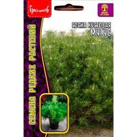 Сосна кустовая Муугус 10 шт Сосна кустовая Муугус 10 шт