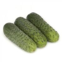 Огурец Караоке F1 100шт