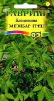 Клещевина Занзибар Грин 5шт Клещевина Занзибар Грин 5шт