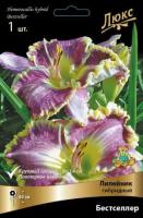 Лилейник гибридный Бестселлер (I) 1 шт