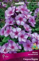 Флокс метельчатый Сверли Берли (I) 1 шт 