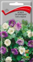 Кобея лазающая Смесь окрасок 5шт Кобея лазающая Смесь окрасок 5шт
