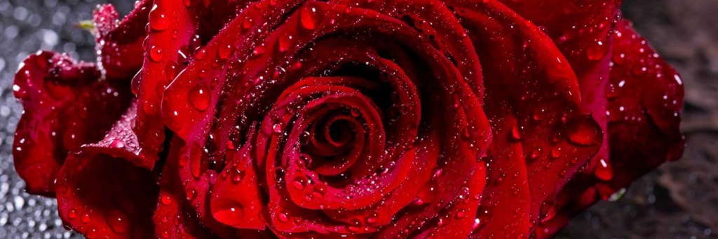 Гейша.jpg Гейша.jpg