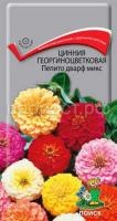Цинния георгиноцветковая Пепито дварф микс Цинния георгиноцветковая Пепито дварф микс
