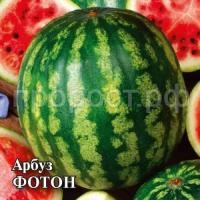 Арбуз Фотон 10 г Арбуз Фотон 10 г