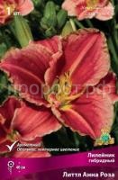 Лилейник гибридный Литтл Анна Роза