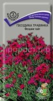Гвоздика травянка Флэшинг Лайт Гвоздика травянка Флэшинг Лайт