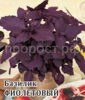 Базилик Фиолетовый 10 г Базилик Фиолетовый 10 г