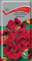 Настурция низкорослая Махагони Настурция низкорослая Махагони