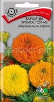 Бархатцы прямостоячие Махровые смесь окрасок Бархатцы прямостоячие Махровые смесь окрасок