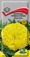 Бархатцы прямостоячие Мери Хелен Бархатцы прямостоячие Мери Хелен