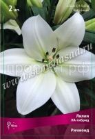 Лилия ЛА-Гибрид Ричмонд (14-16) 2 шт 675516