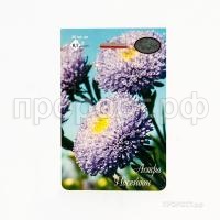 Астра Помпонная Посейдон светло-синяя 20 0,7 Каприс