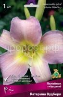 Лилейник гибридный Катерина Вудбери