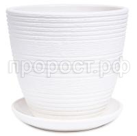 ХАЛВА белый крокус ХАЛВА белый крокус