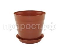 лаура с под (6)