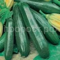 Без названия (2) Без названия (2)