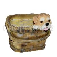 щенко в лукошке