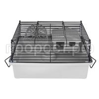 40192sv-ser-chern_2 40192sv-ser-chern_2