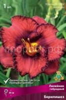 Лилейник гибридный Берилишез