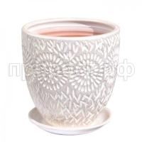 Астра Астра