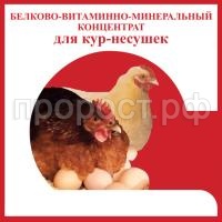 БВМК КУРЫ НЕСУШКИ